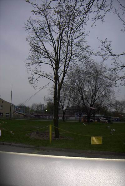 Bia�ystok 2007-04-19